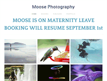 Tablet Screenshot of moosephotography.net